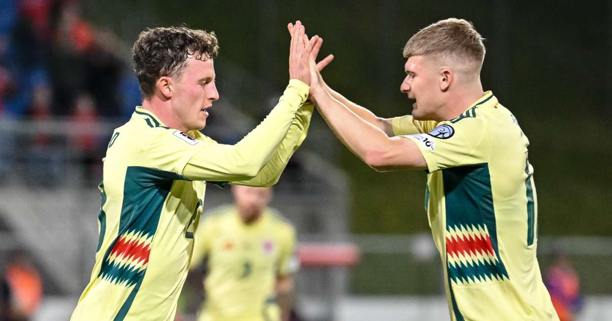 Wales Labour to Narrow Victory against Liechtenstein